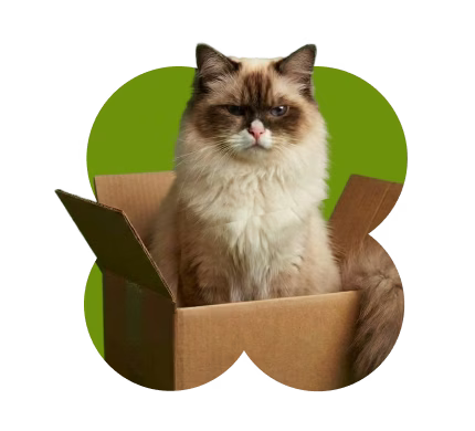 30-day guarantee badge with cat in a box